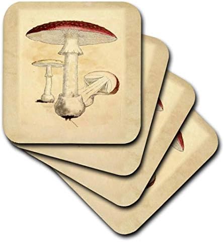 Eski Botanik Kitabından Kırmızı Vintage Mantarın 3dRose Görüntüsü - Seramik Karo Bardak Altlıkları, 4'lü Set (CST_223063_3)