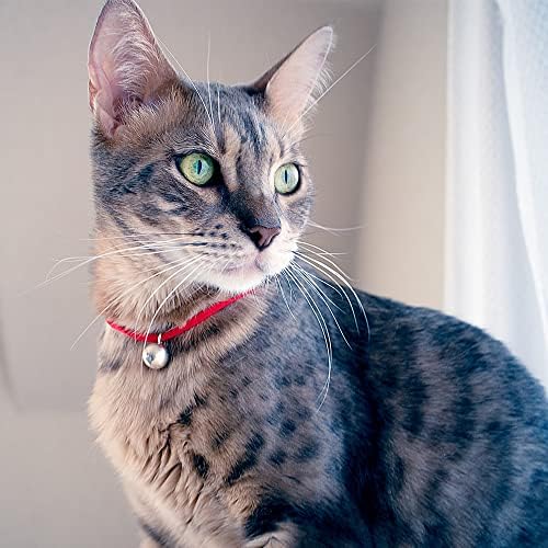 necono Kedi Tasması-Karen-Gümüş Çan 3 Renk - Ultra Hafif Kumaş El Yapımı