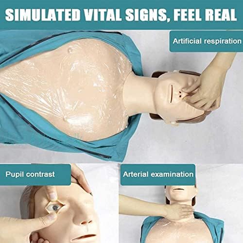 CPR Simülatörü Eğitim Modeli Kiti Hemşirelik Tıbbı Okulunda Öğretim için 50 tek Kullanımlık izolasyon filmi ve 4 Akciğer