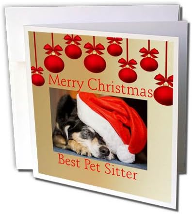 Süslemeli Mutlu Noeller En iyi Evcil Hayvan Bakıcısının 3dRose Görüntüsü-Tebrik Kartı, 6 x 6 inç (gc_262549_5)