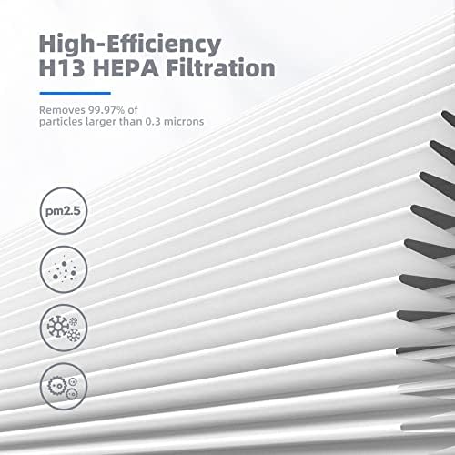 AROEVE iki H13 HEPA hava filtresi ile ev için hava temizleyici-Toz, evcil hayvan tüyü, duman, polen için evcil hayvan tüyü