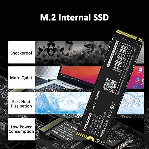 fanxıang S501 256GB NVMe SSD 3D NAND1.3 PCIe Gen3x4 M. 2 2280 Dahili Katı Hal Sürücüsü (Okuma/Yazma Hızı 2,150/1,300 MB/s'ye